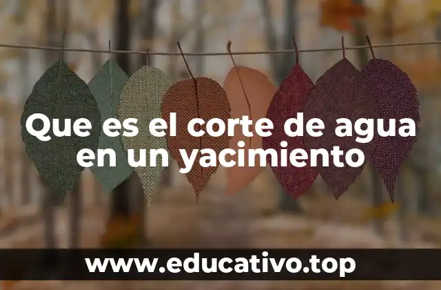 Que es el corte de agua en un yacimiento
