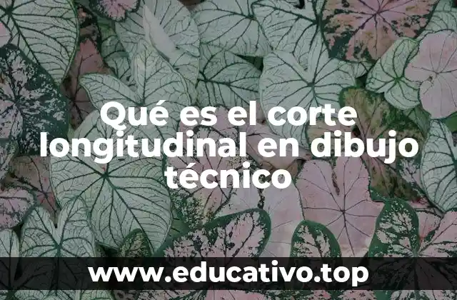 Qué es el corte longitudinal en dibujo técnico