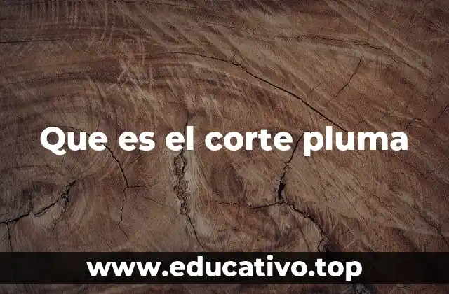 Que es el corte pluma