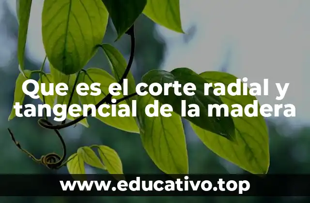Que es el corte radial y tangencial de la madera