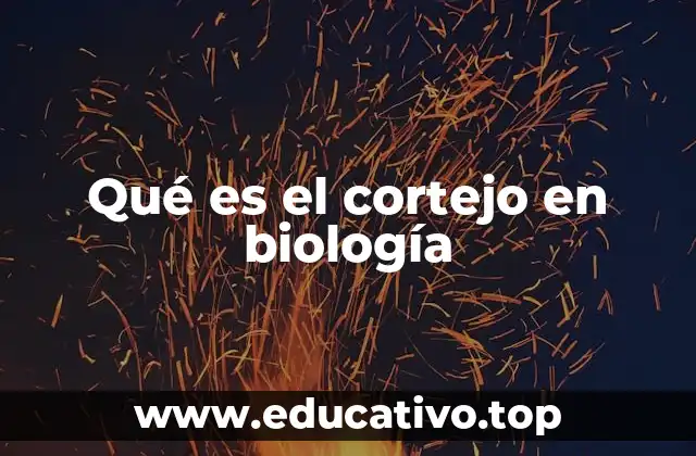 Qué es el cortejo en biología