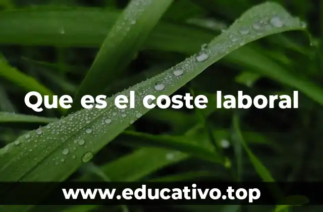 Que es el coste laboral