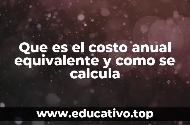Que es el costo anual equivalente y como se calcula