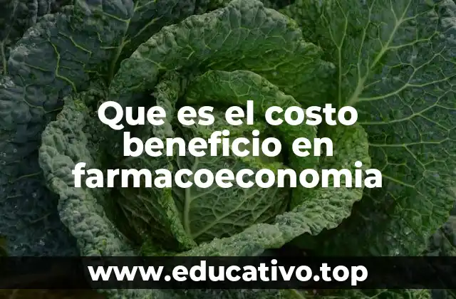 La importancia del análisis económico en la toma de decisiones sanitarias