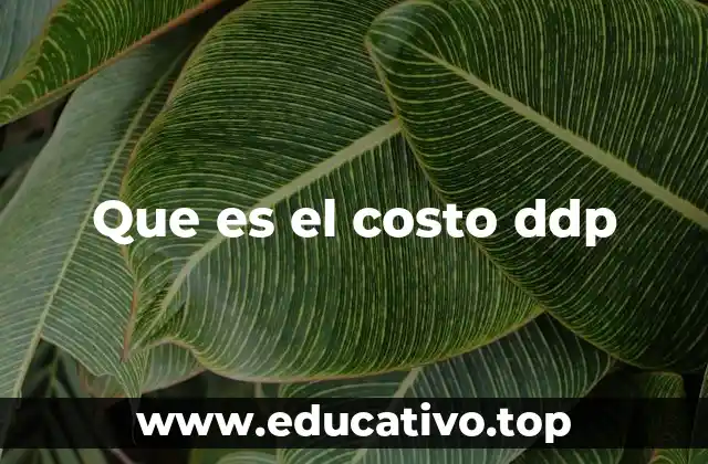 Que es el costo ddp