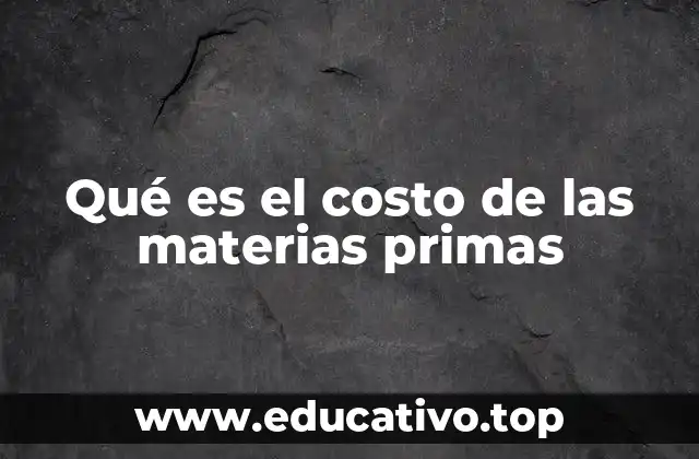 Qué es el costo de las materias primas
