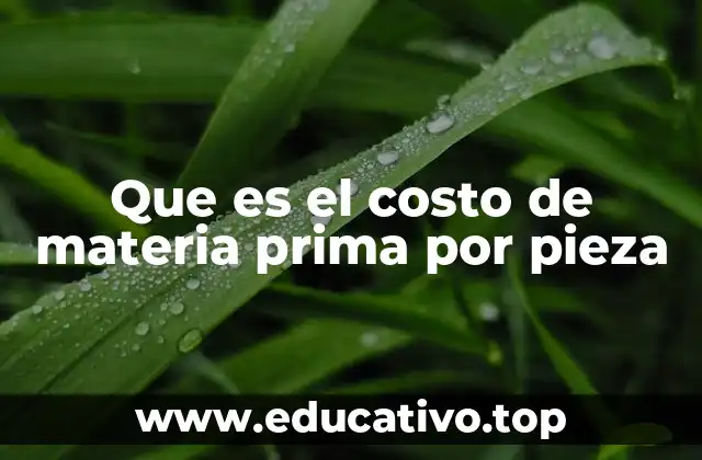 Que es el costo de materia prima por pieza