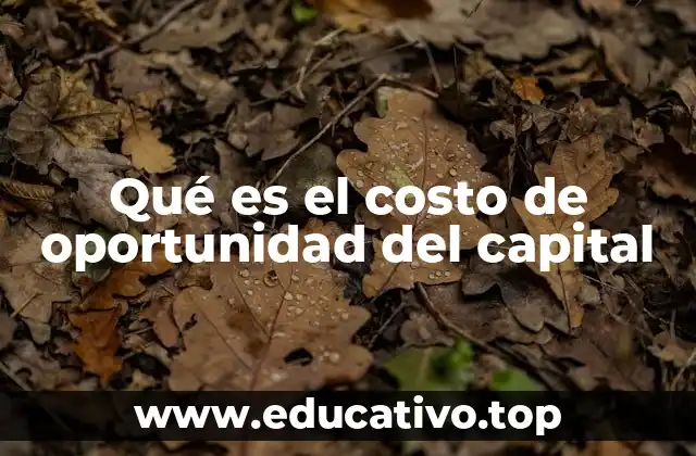 Qué es el costo de oportunidad del capital