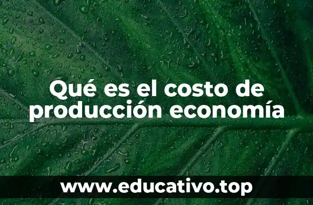 Qué es el costo de producción economía