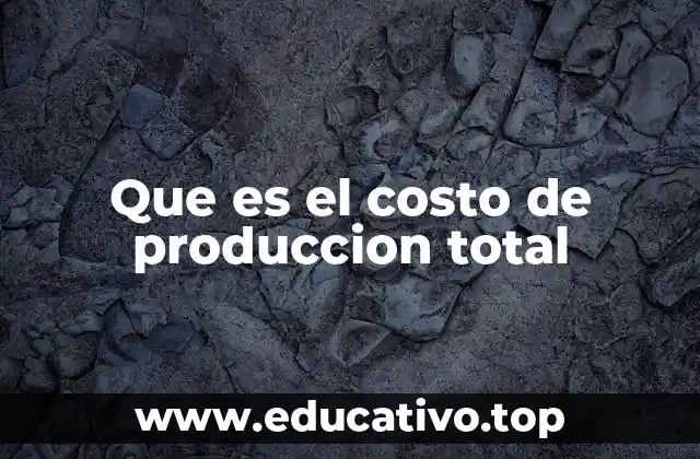 Que es el costo de produccion total
