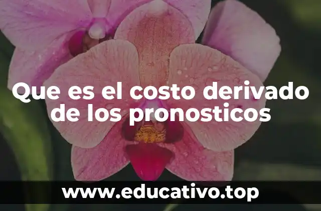 Que es el costo derivado de los pronosticos