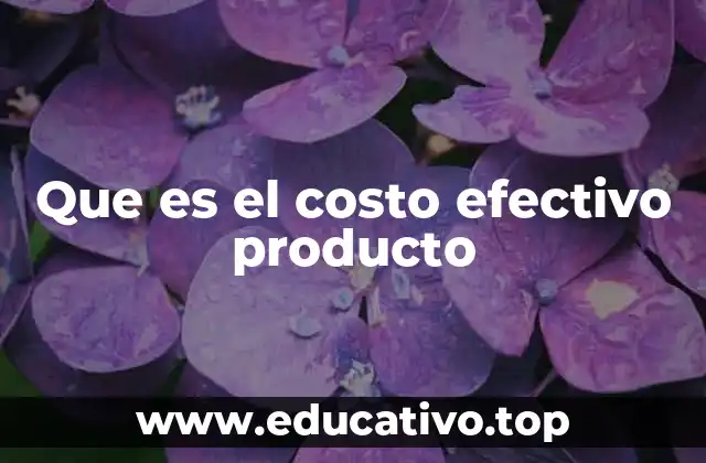 Que es el costo efectivo producto