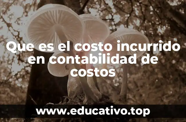 Que es el costo incurrido en contabilidad de costos