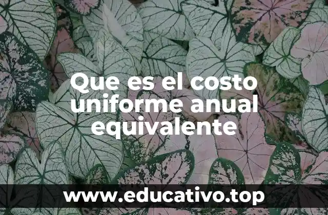 Que es el costo uniforme anual equivalente
