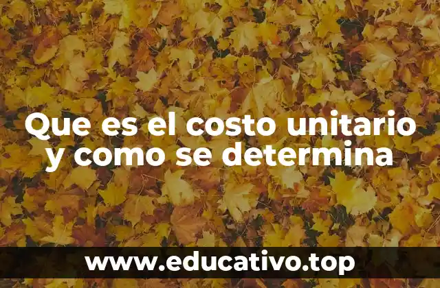 Que es el costo unitario y como se determina