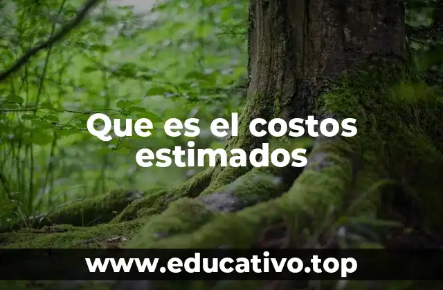 Que es el costos estimados