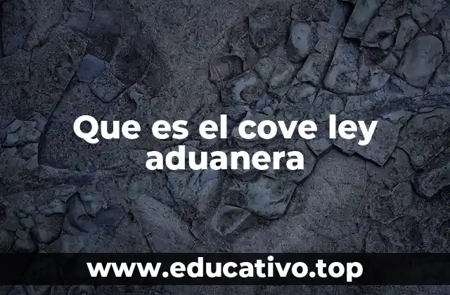 Que es el cove ley aduanera