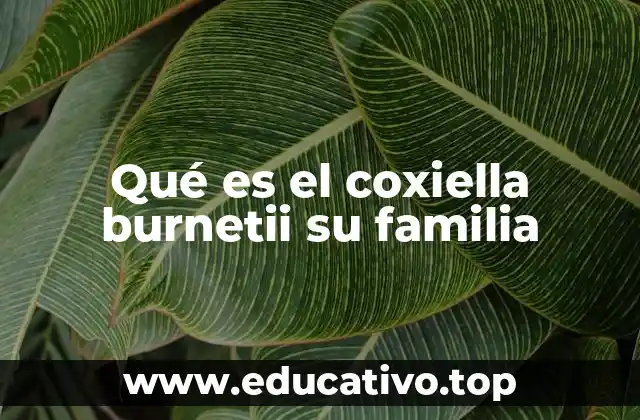 Qué es el coxiella burnetii su familia
