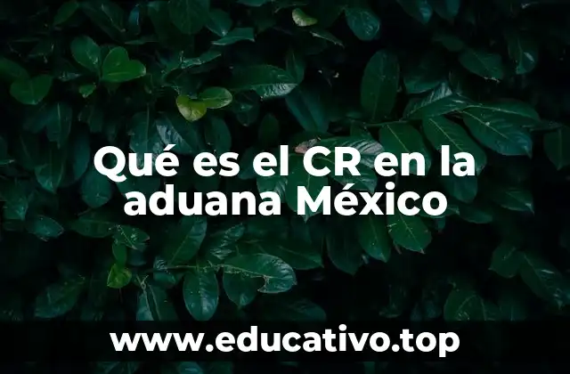 Qué es el CR en la aduana México