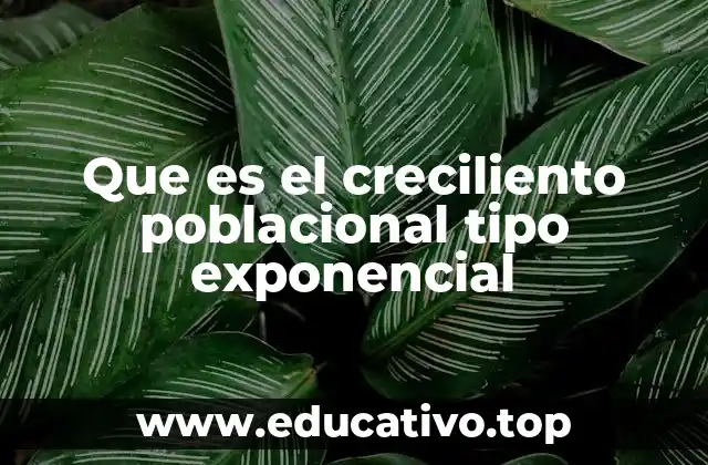 Que es el creciliento poblacional tipo exponencial