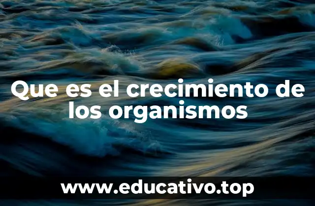 El proceso biológico detrás del desarrollo de los seres vivos