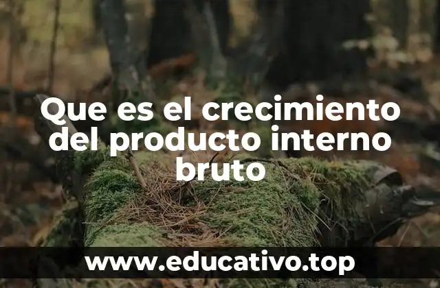 Que es el crecimiento del producto interno bruto