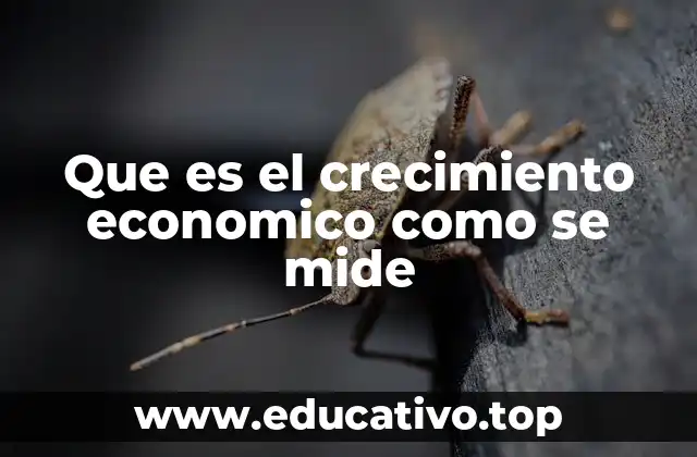Que es el crecimiento economico como se mide