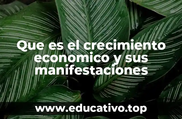Que es el crecimiento economico y sus manifestaciones