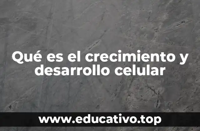 Qué es el crecimiento y desarrollo celular