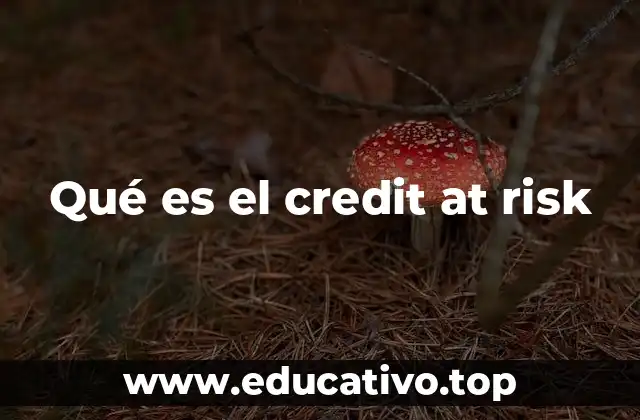 Qué es el credit at risk
