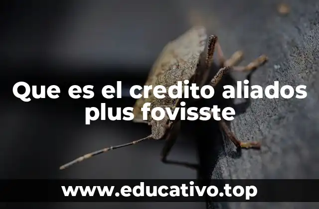 Que es el credito aliados plus fovisste