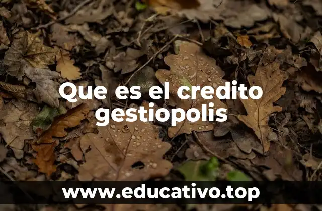 Que es el credito gestiopolis