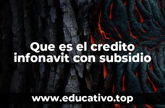 Que es el credito infonavit con subsidio