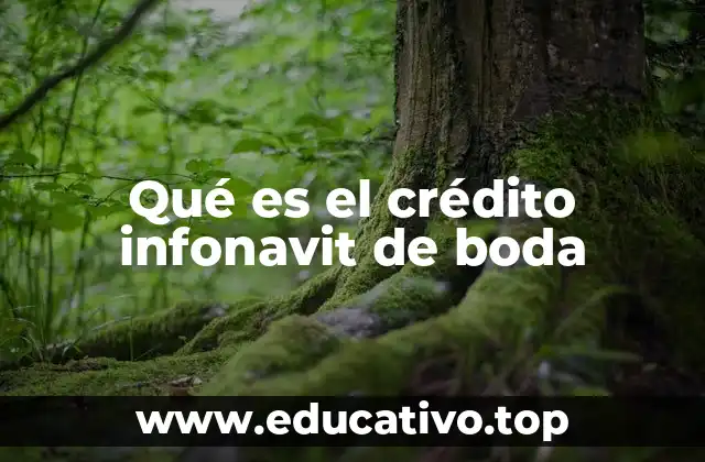 Qué es el crédito infonavit de boda