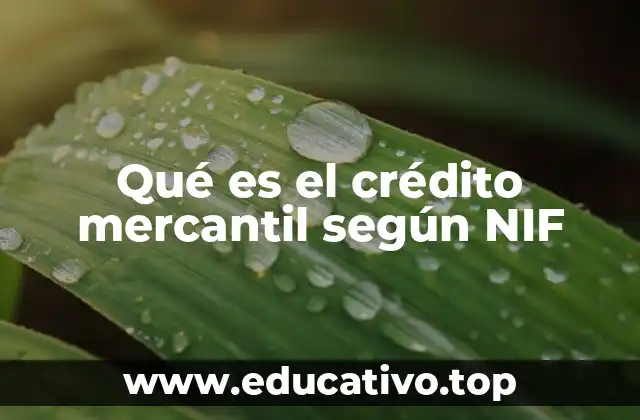 Qué es el crédito mercantil según NIF