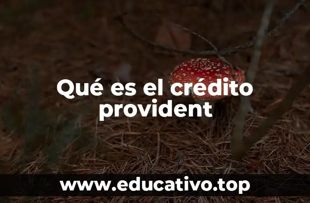 Qué es el crédito provident