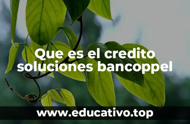 Que es el credito soluciones bancoppel