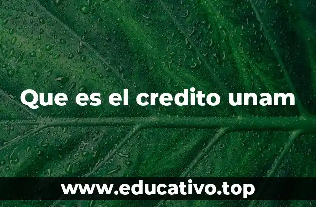 Apoyo financiero para estudiantes universitarios