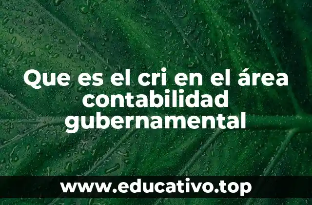 Que es el cri en el área contabilidad gubernamental