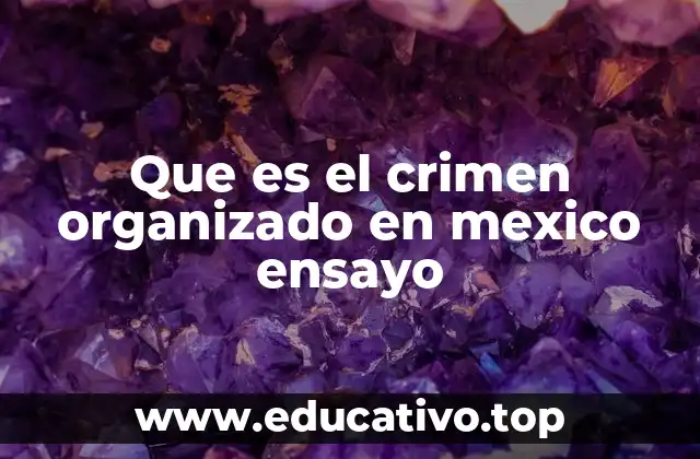 Que es el crimen organizado en mexico ensayo