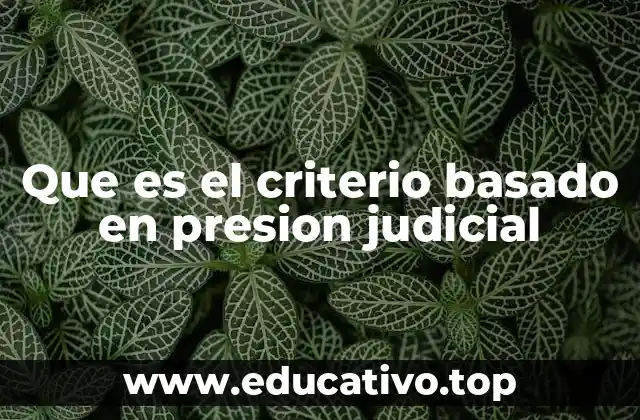 Que es el criterio basado en presion judicial