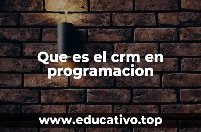 Que es el crm en programacion