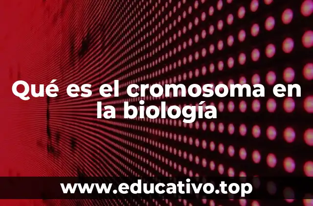 Qué es el cromosoma en la biología