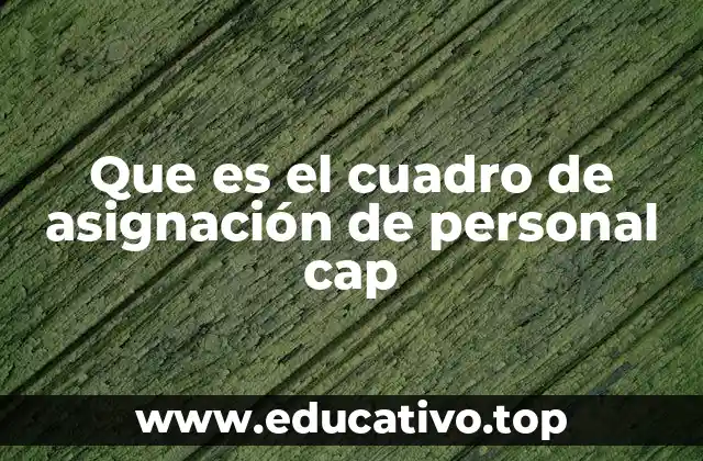 Que es el cuadro de asignación de personal cap