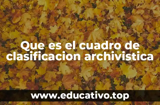Que es el cuadro de clasificacion archivistica