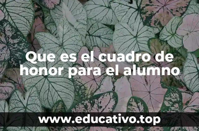 Que es el cuadro de honor para el alumno