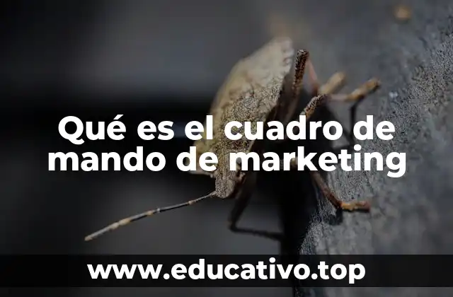 Qué es el cuadro de mando de marketing