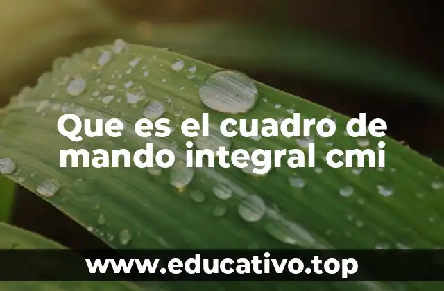 Que es el cuadro de mando integral cmi