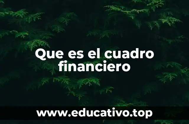 Que es el cuadro financiero