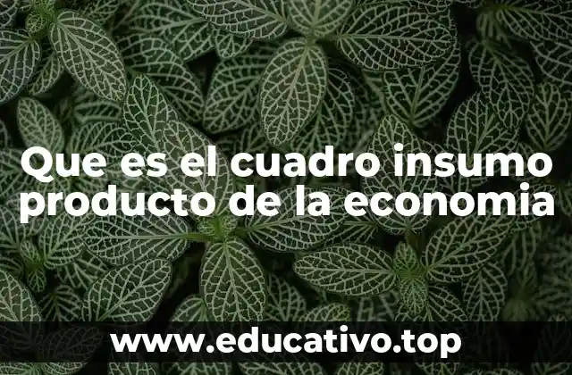 Que es el cuadro insumo producto de la economia